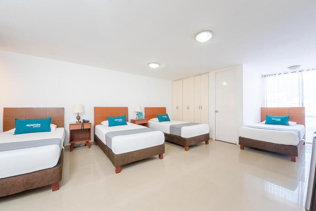 Ayenda 1909 Ambeima - Cuadruple - 4