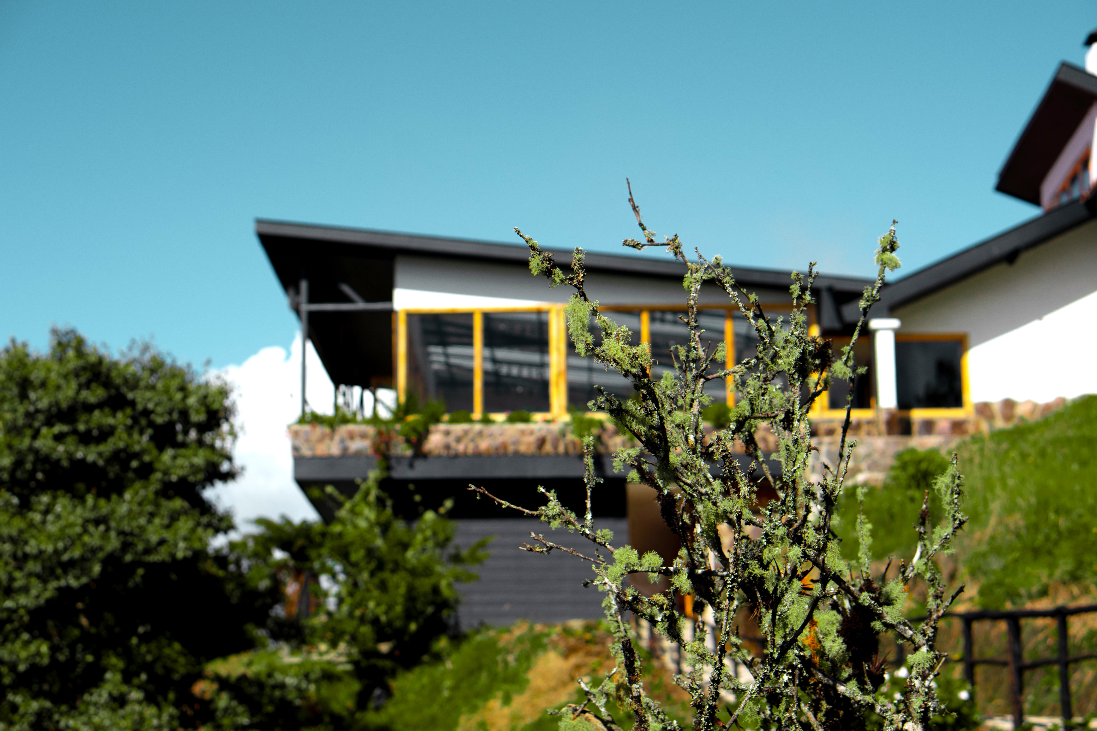 ECOHOTEL MAUKA  21