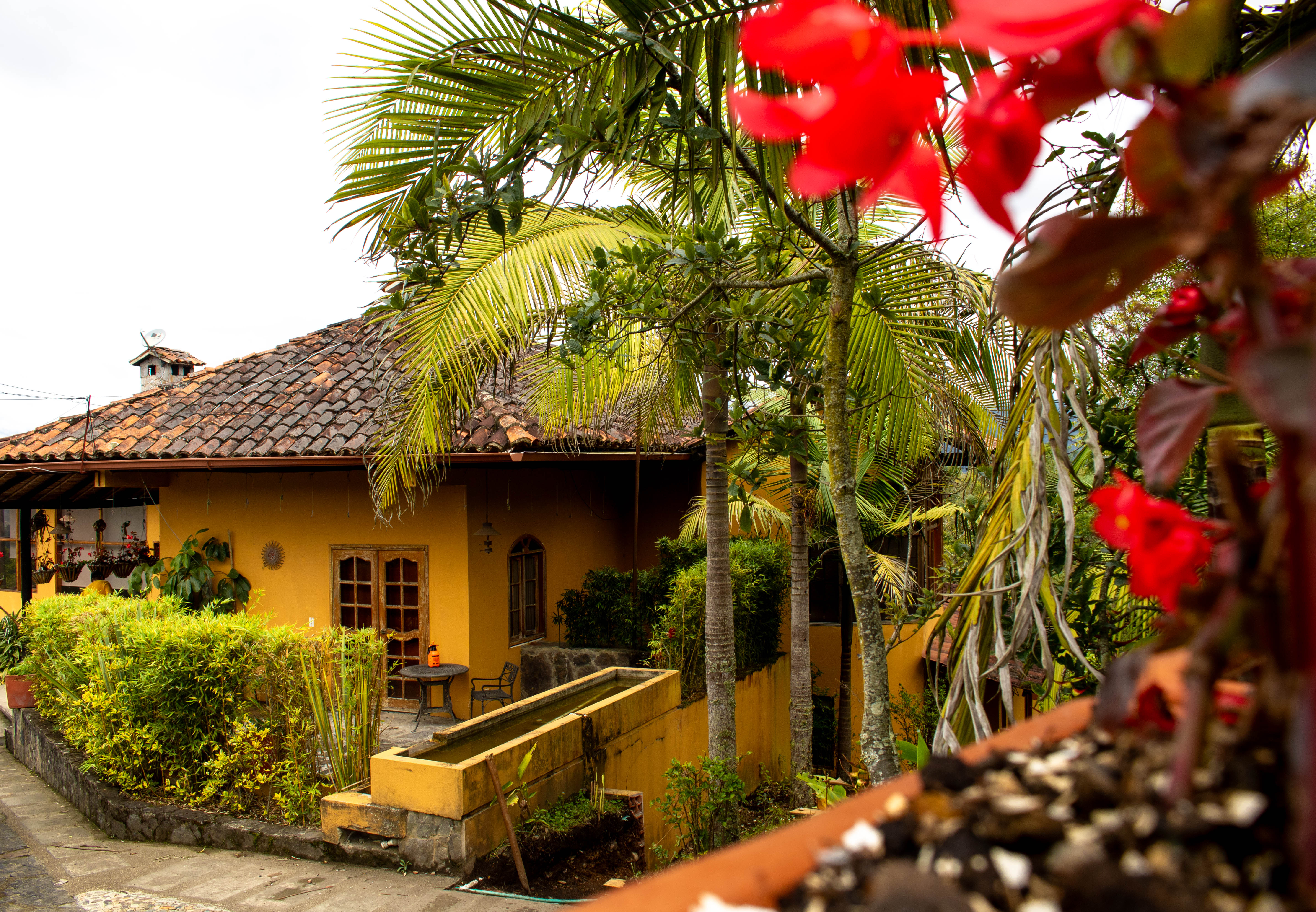 MONTEVERDE BEST INN  - Recuerdo Exterior Terraza pax 4 - 40