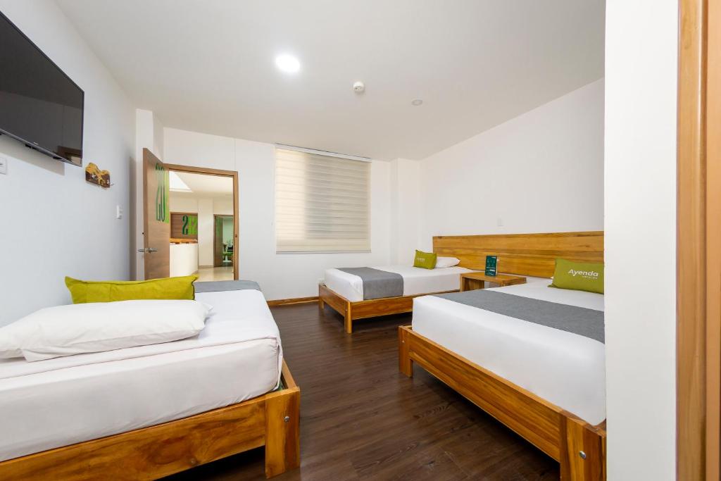 Ayenda 1901 Marckia - Triple - 10