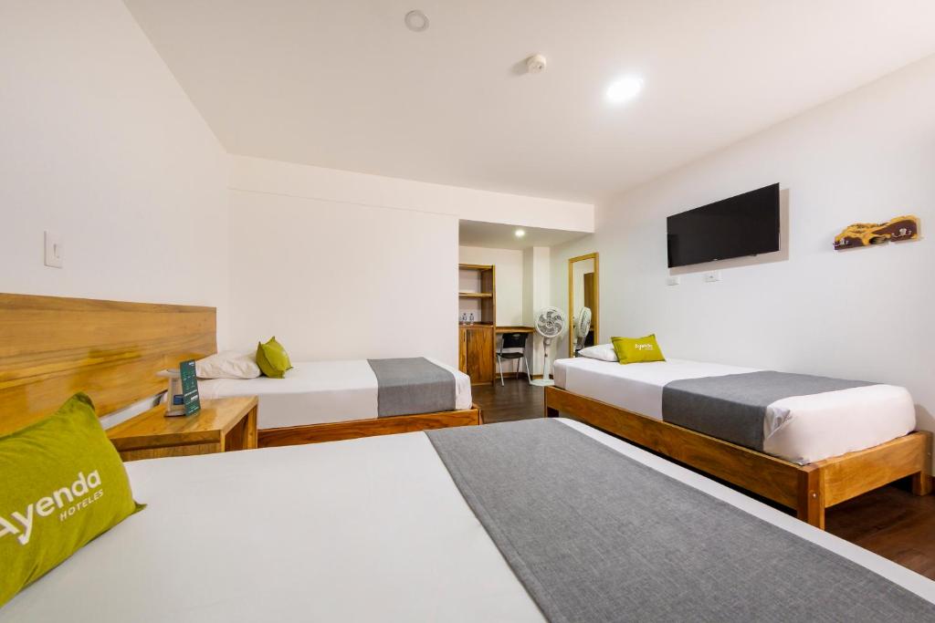 Ayenda 1901 Marckia - Triple - 17