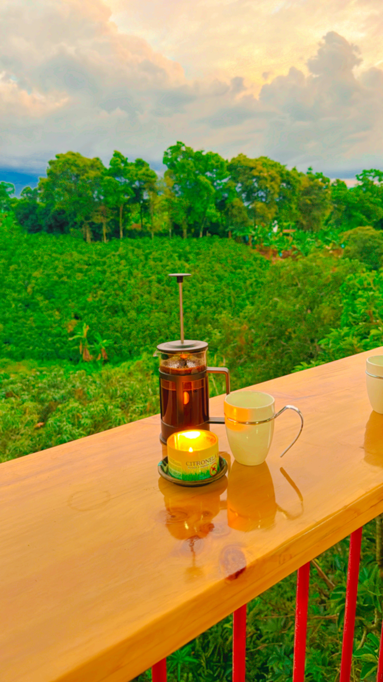 Finca Hotel Calle Jardin - Zonas comunes - 20