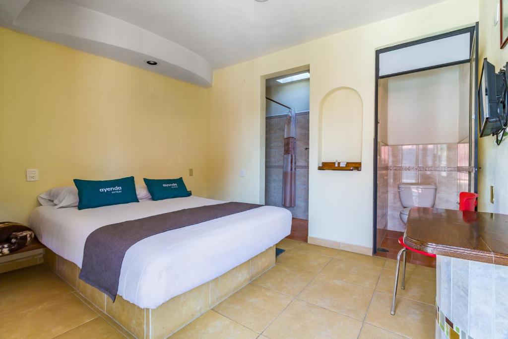 Ayenda Posada El Pedregal 16