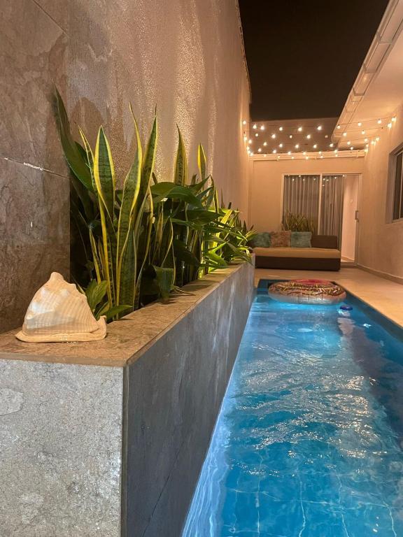 Casa Roman Hotel Boutique - Zonas comunes - 38