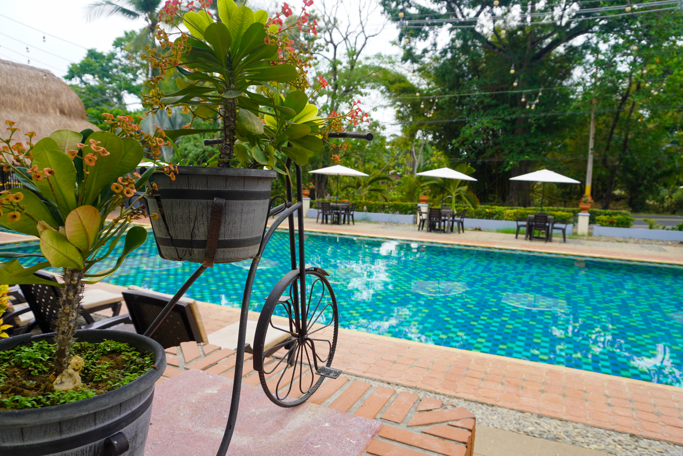 hotel y restaurante el mesón del gitano - Zonas comunes - 5