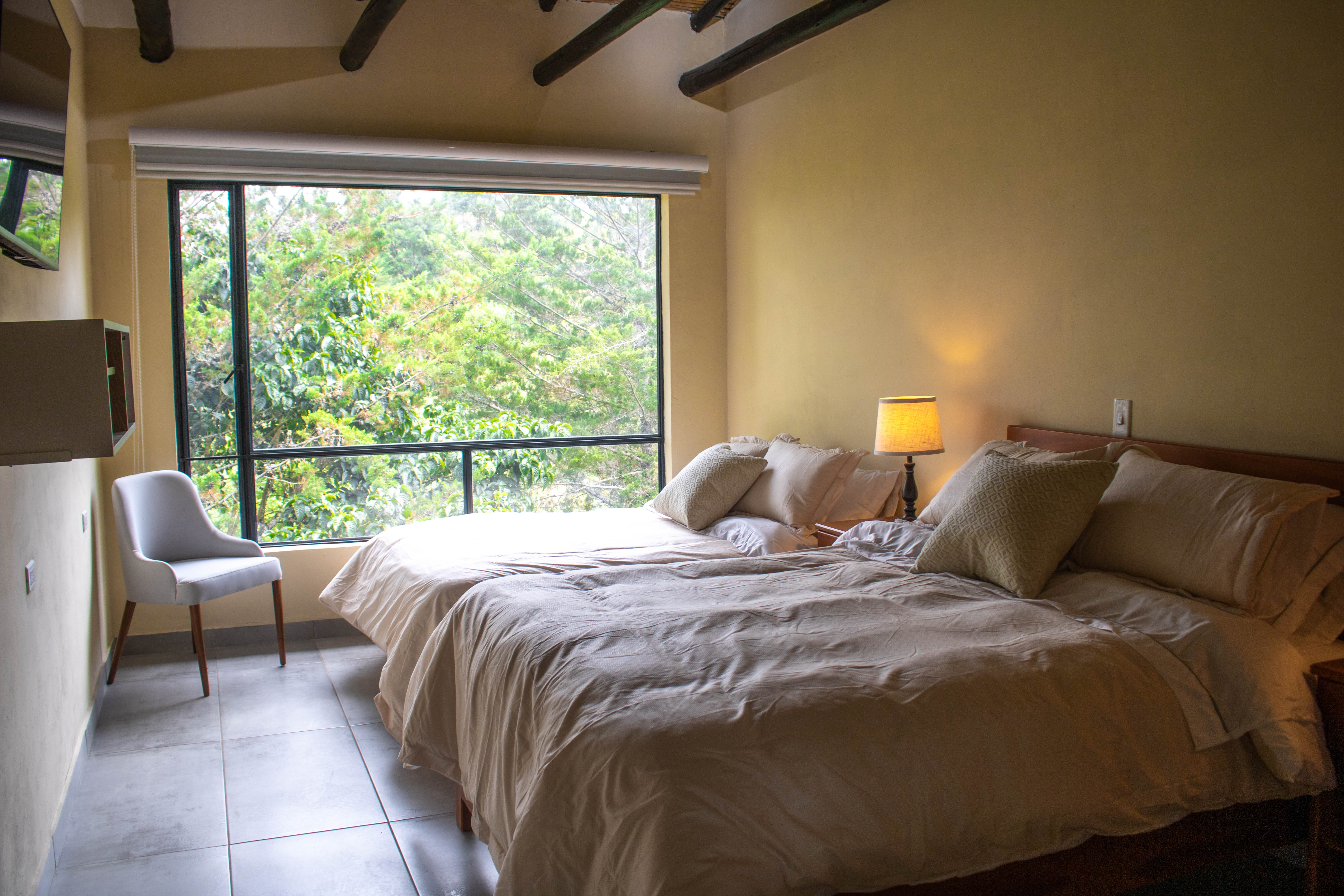 MONTEVERDE BEST INN  - Habitación con vista a montaña - 26