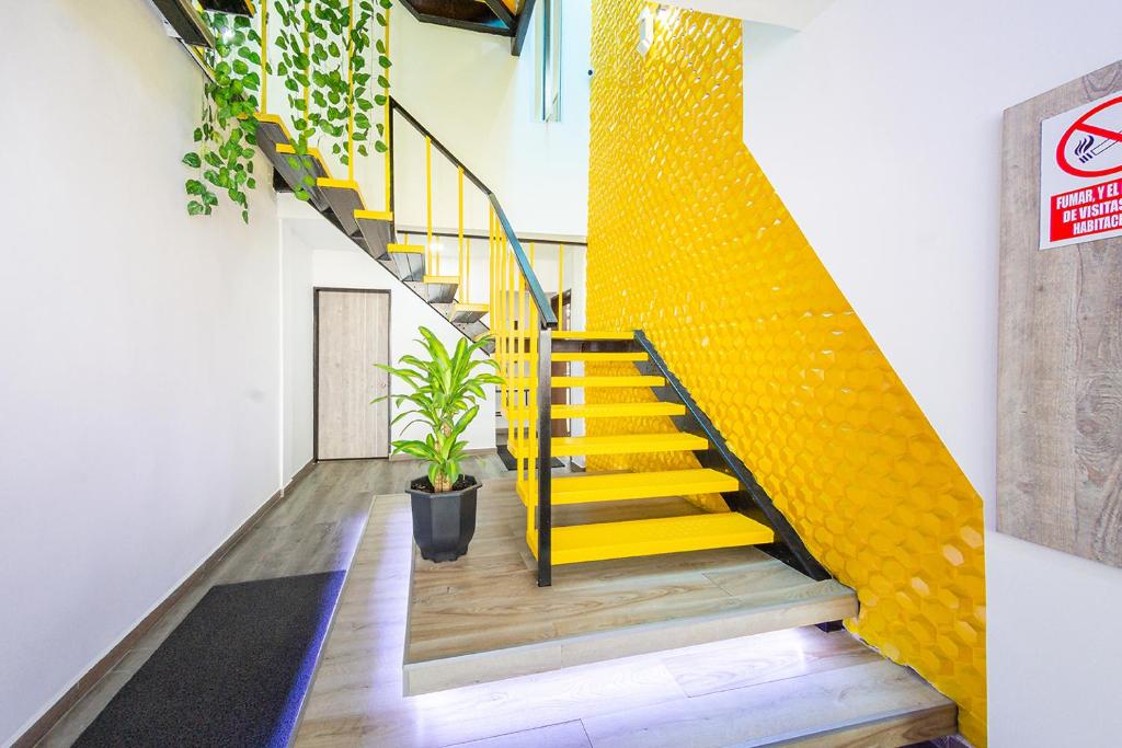 Ayenda Bee Hotel - Zonas comunes - 27