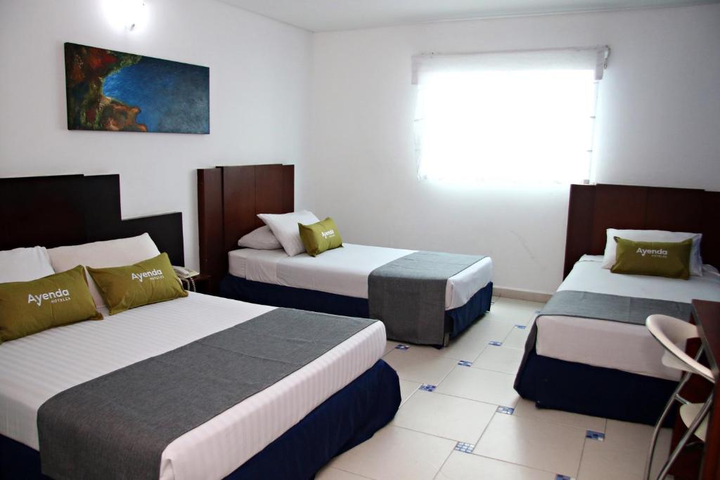 Ayenda 1801 Océano - Cuádruple - 6