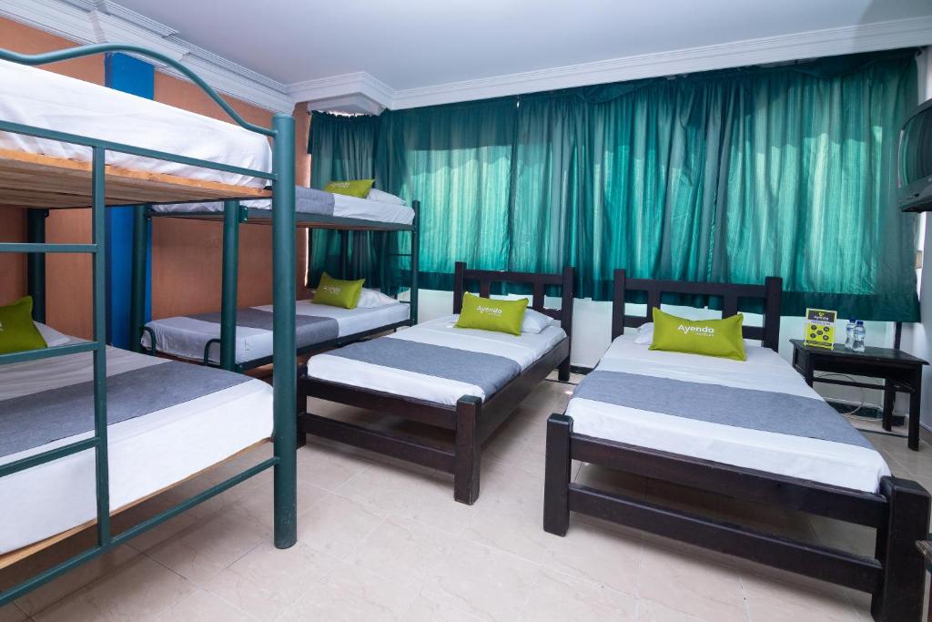 Ayenda Calypso 1142 11