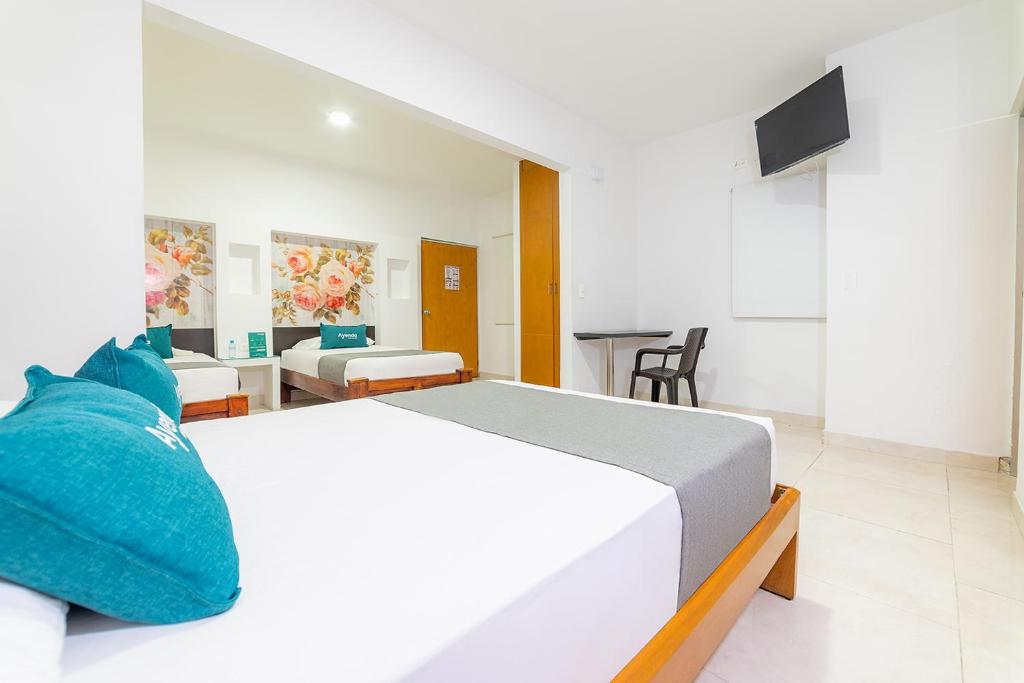 Ayenda Zhena - Cuadruple - 9