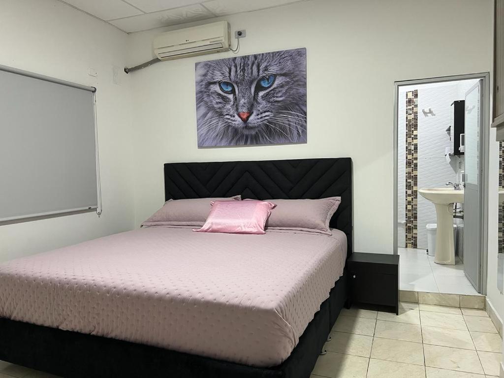 Cool House 24Horas 11