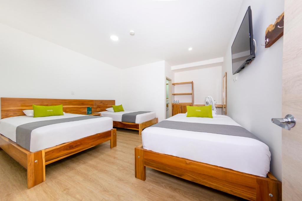 Ayenda 1901 Marckia - Triple - 18