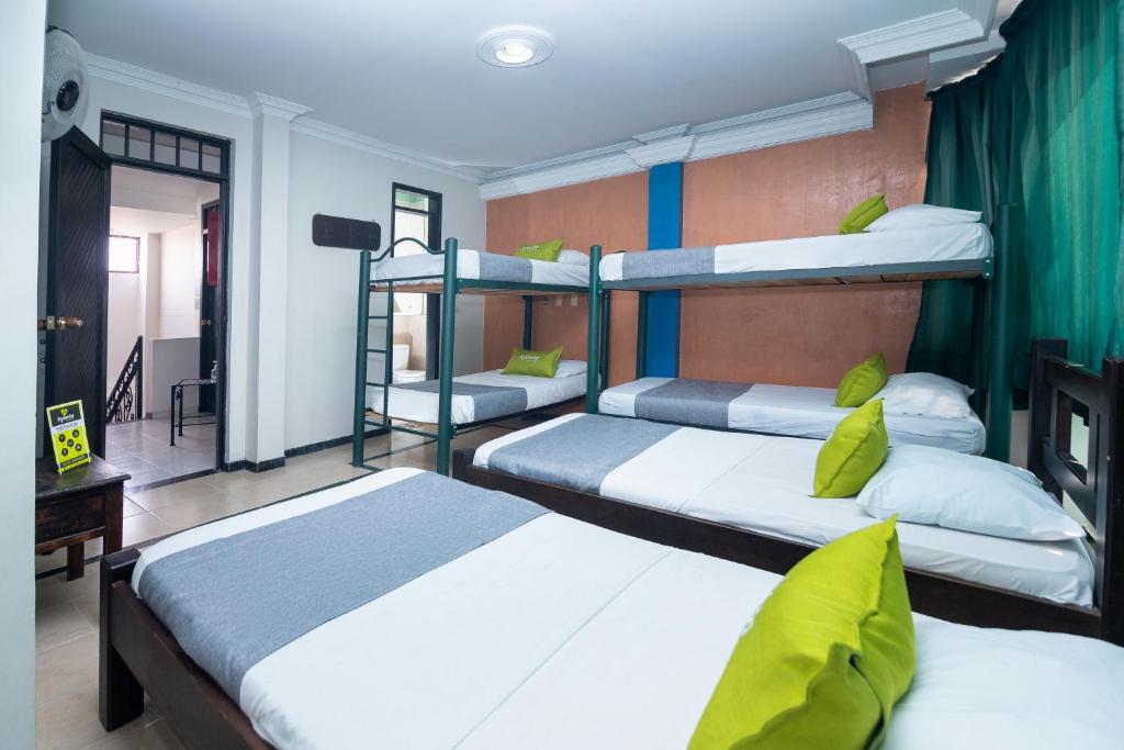 Ayenda Calypso 1142 30