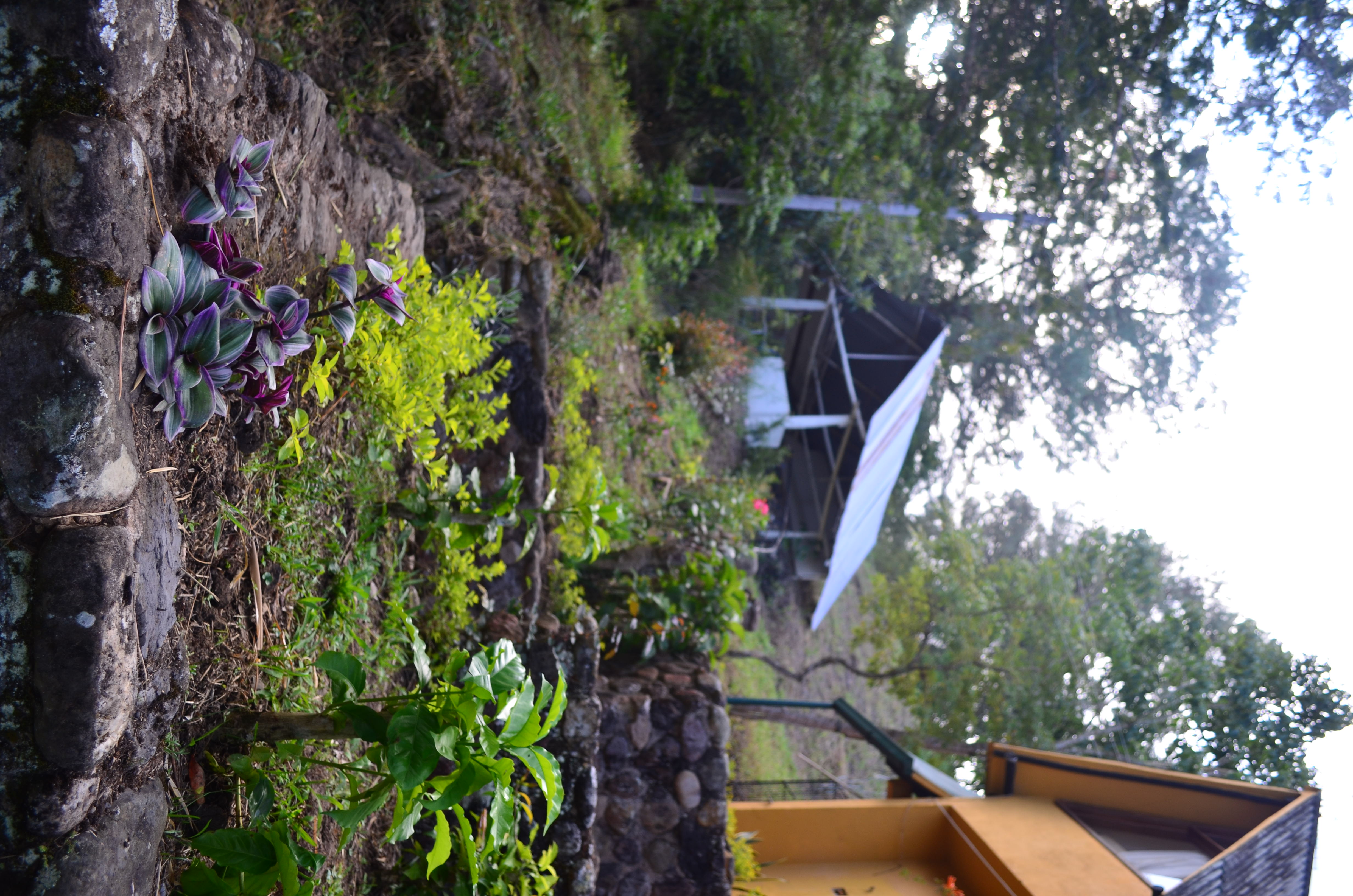 MONTEVERDE BEST INN  - Quinta - Macondo  - 7