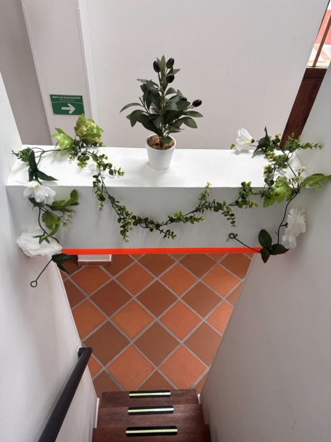 Loto de Belén Hostal y Café - Zonas comunes - 29