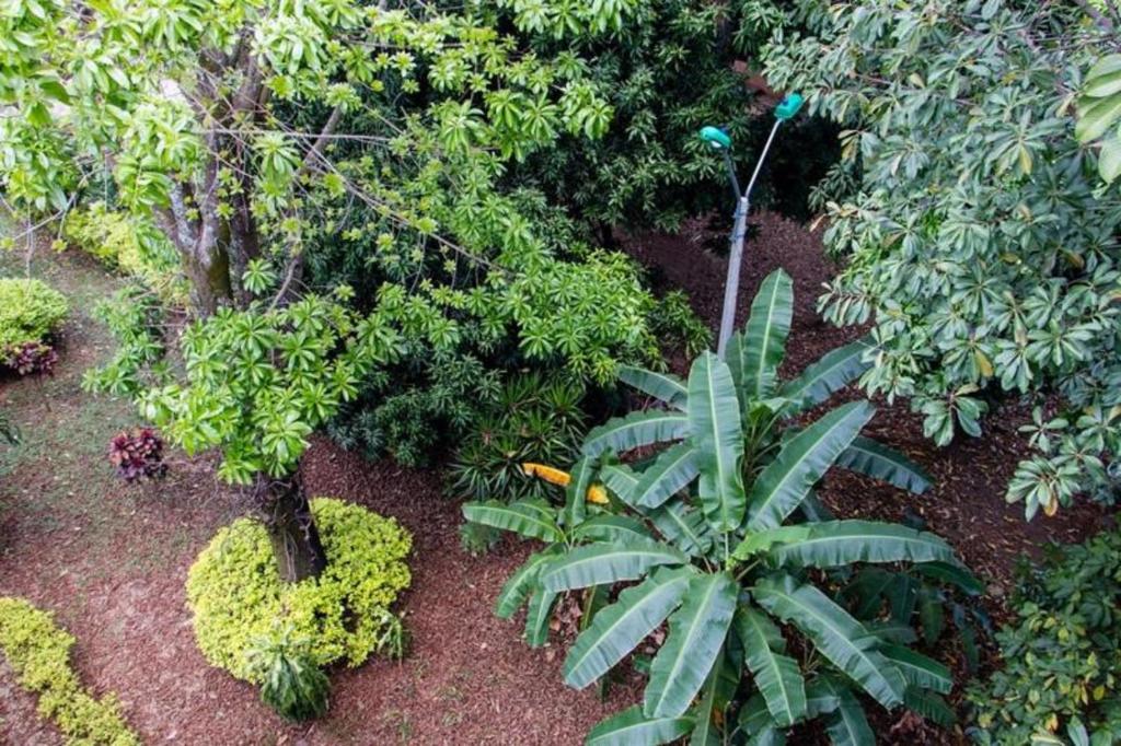 Ayenda 1422 Caney 29