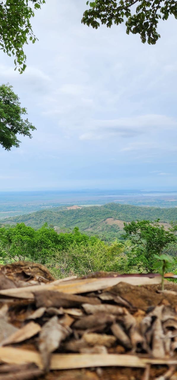 Ecohotel La Reserva 13