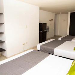 Ayenda Quimbaya de Oro 1903 - Séxtuple - 8