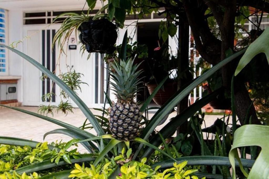 Ayenda 1422 Caney 18