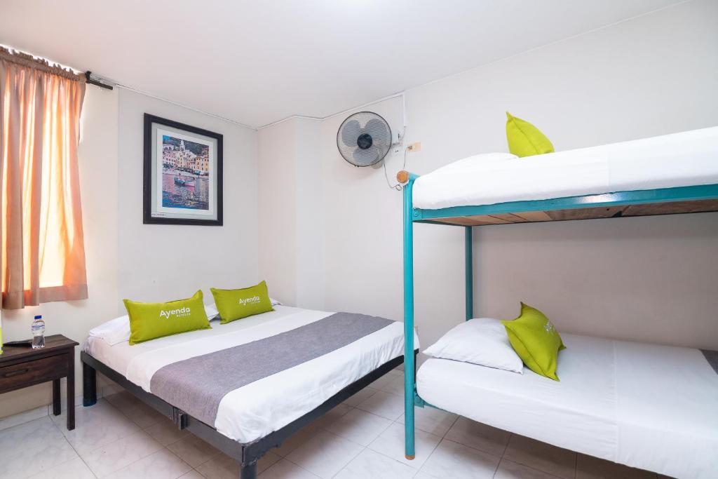 Ayenda Calypso 1142 24