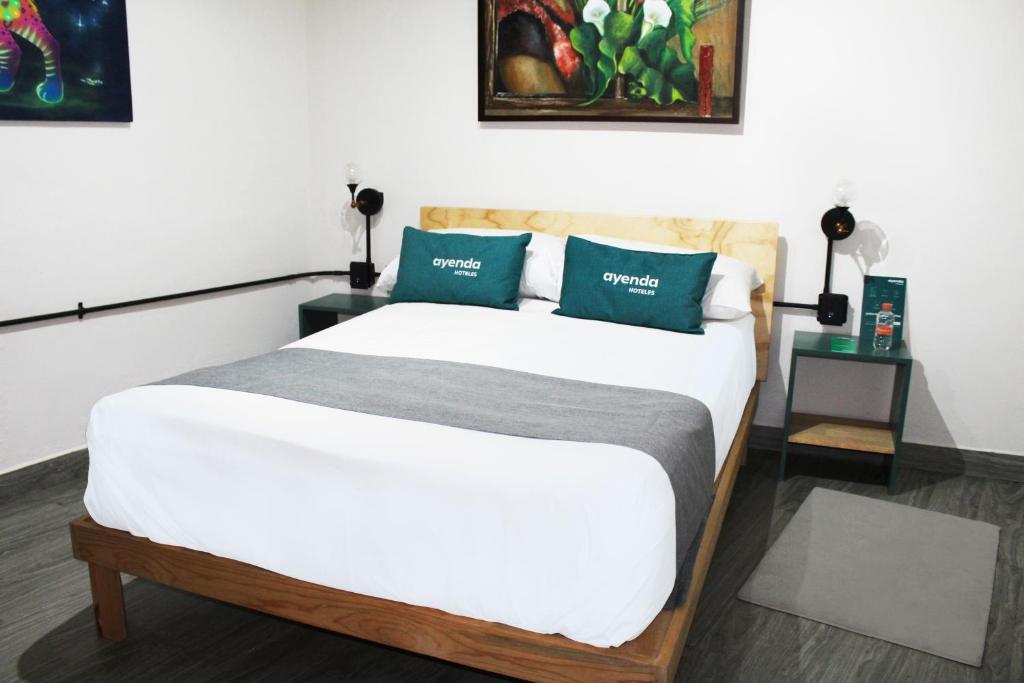 Ayenda Hermila Tlalpan Suites  7