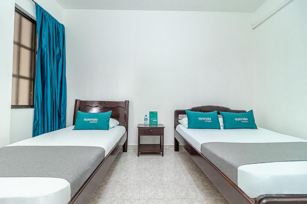 Ayenda Vanguard - Triple Estandar  - 16