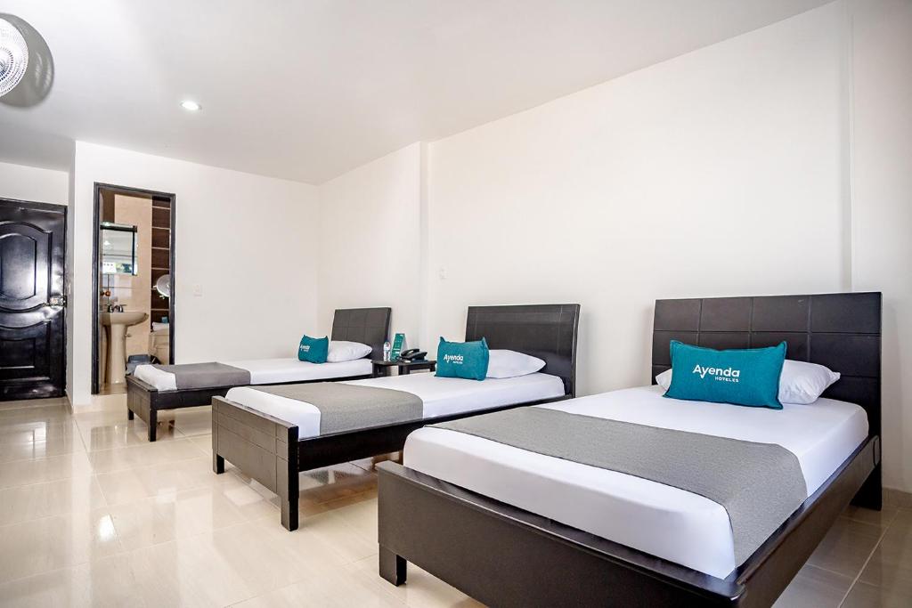 Ayenda 1910 Gold Plaza - Cuadruple - 6