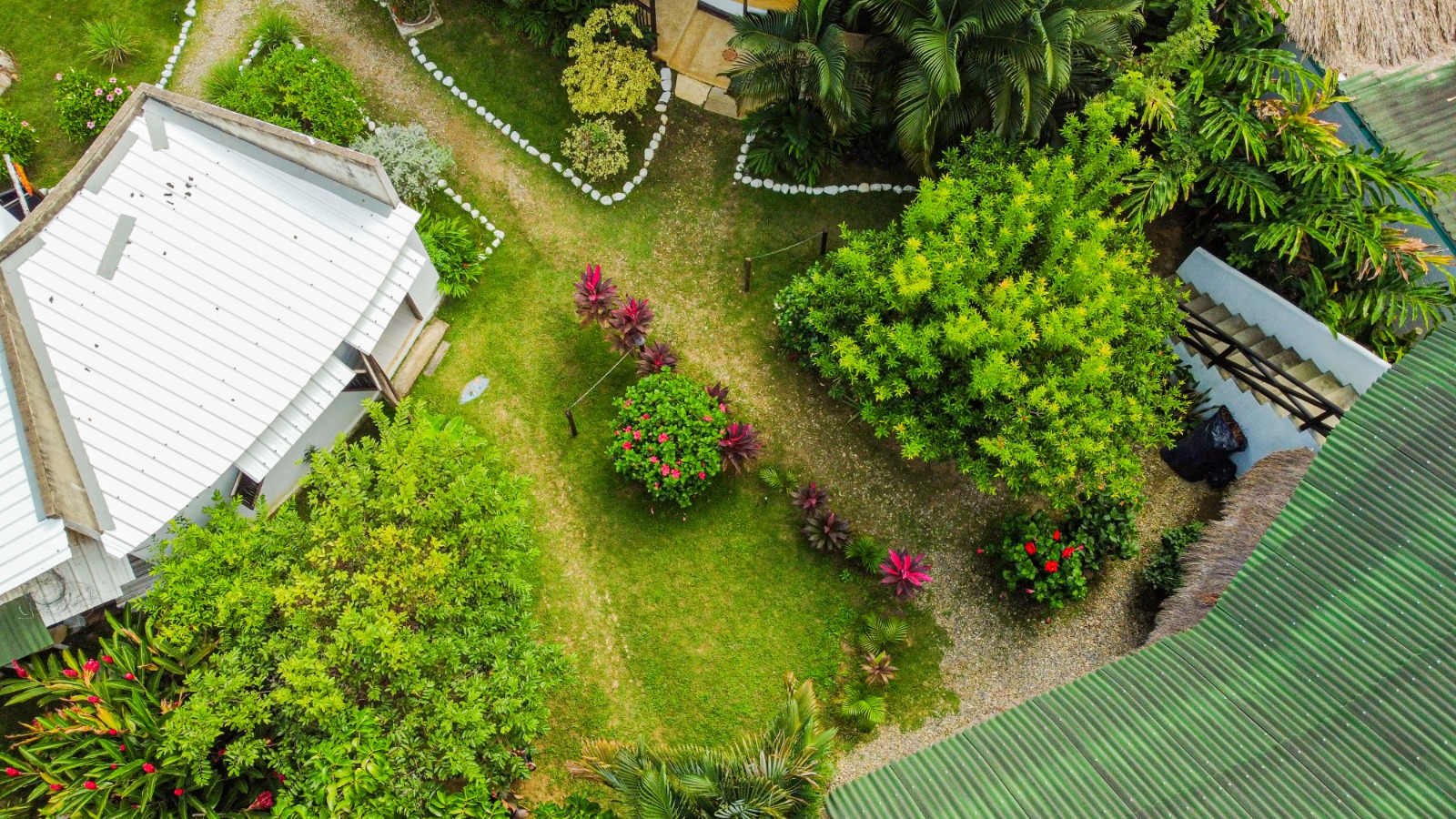 Hostal El Bohio - Zonas comunes - 33