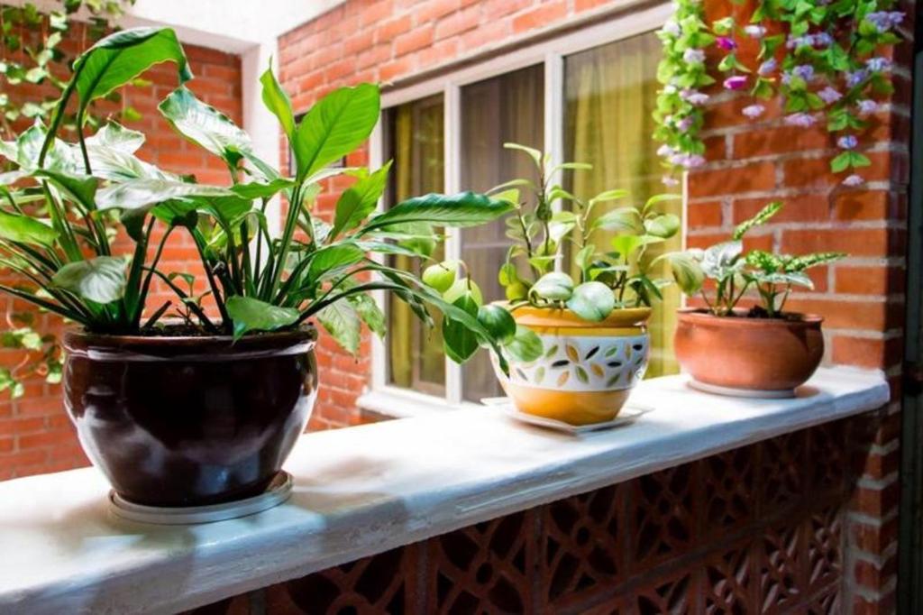 Ayenda 1422 Caney 30