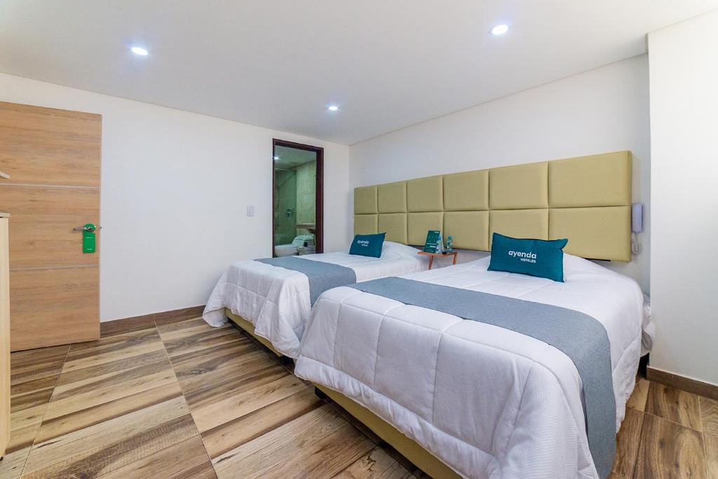 Ayenda Boyaca VIP 15