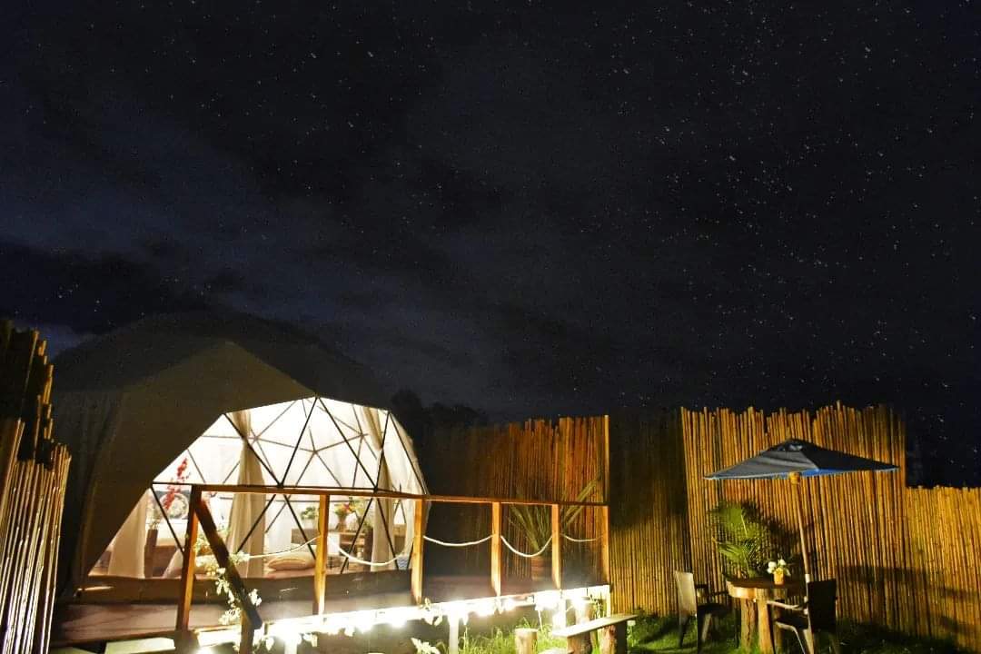 GLAMPING CLARO DE LUNA  - DOMO BAMBU - 6