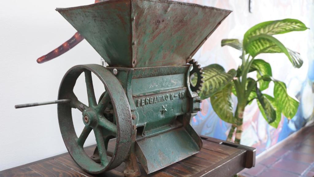 Ayenda Mountain Hostels Manizales 57