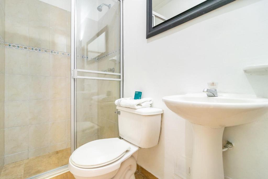 Ayenda Palermo Plaza - Baño - 16