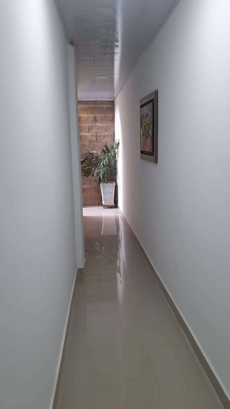 Hostal caimán del Rio - Zonas comunes - 10