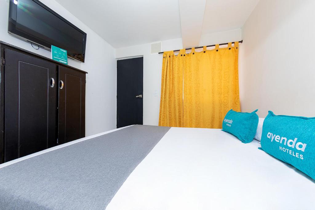 Ayenda Vittapark - Doble Estandar - 2