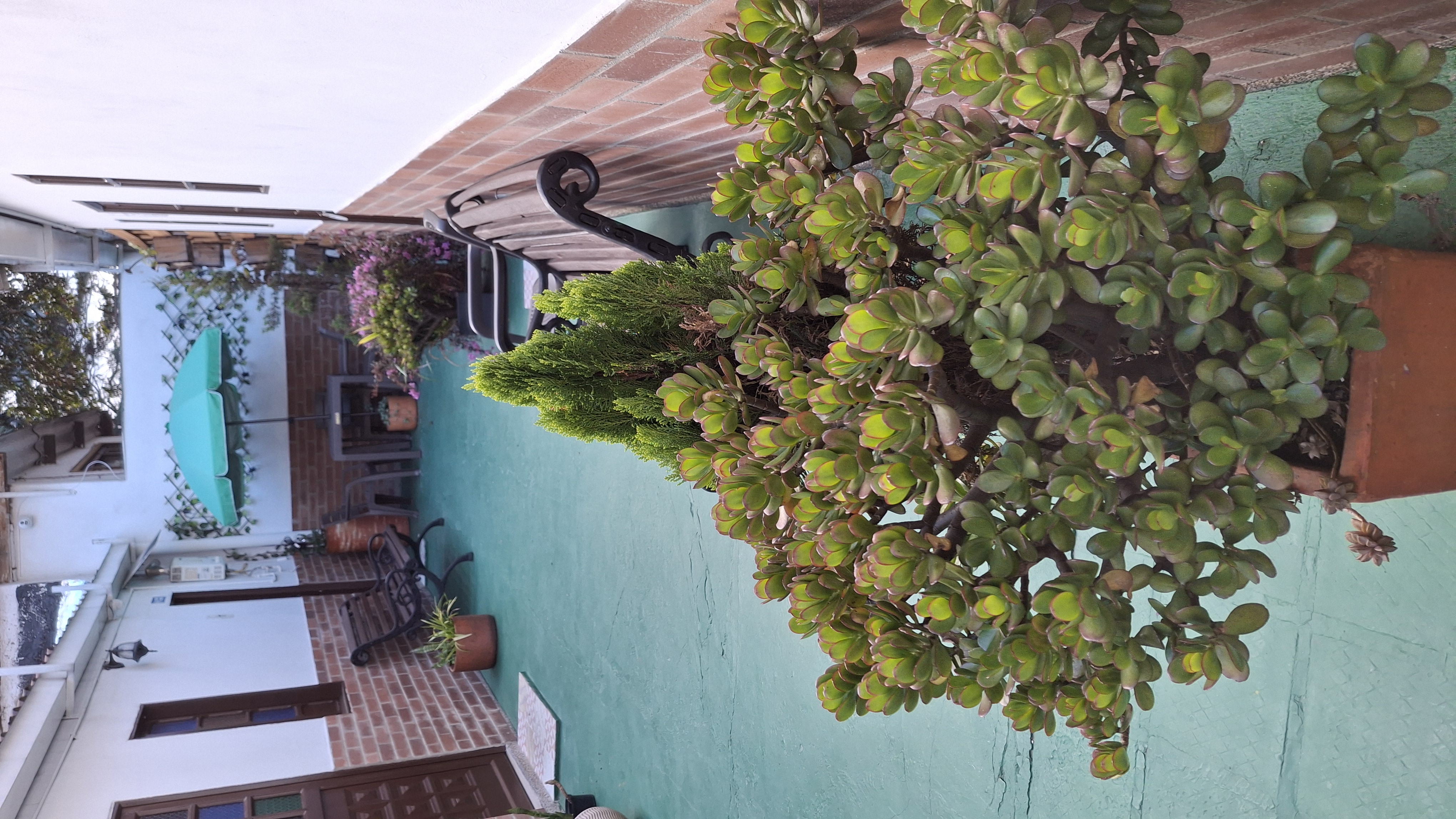 Hostal Doña Eliza 7