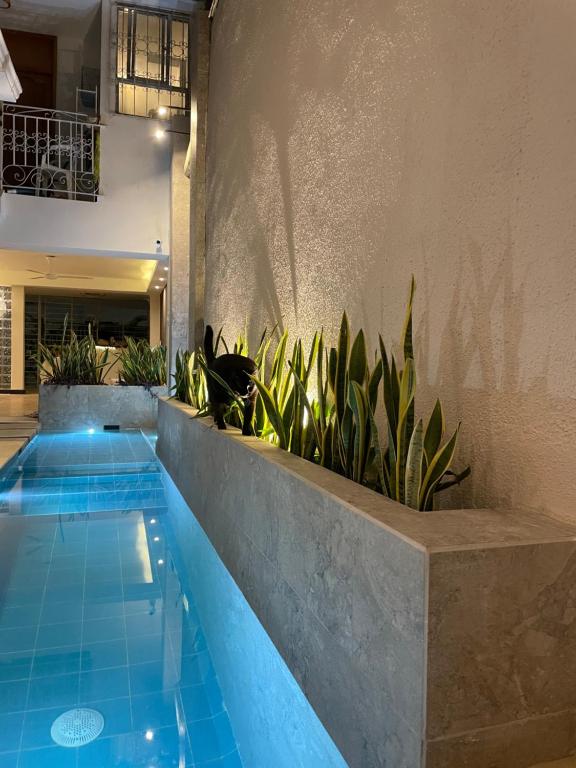 Casa Roman Hotel Boutique - Zonas comunes - 39