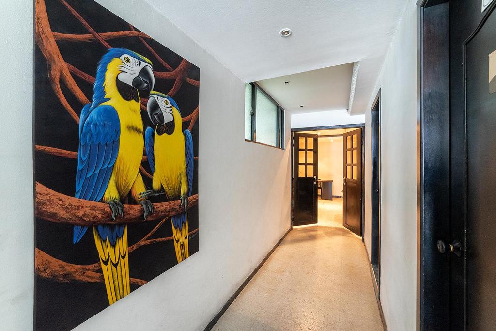 Ayenda 1030 Elegant Suites 17