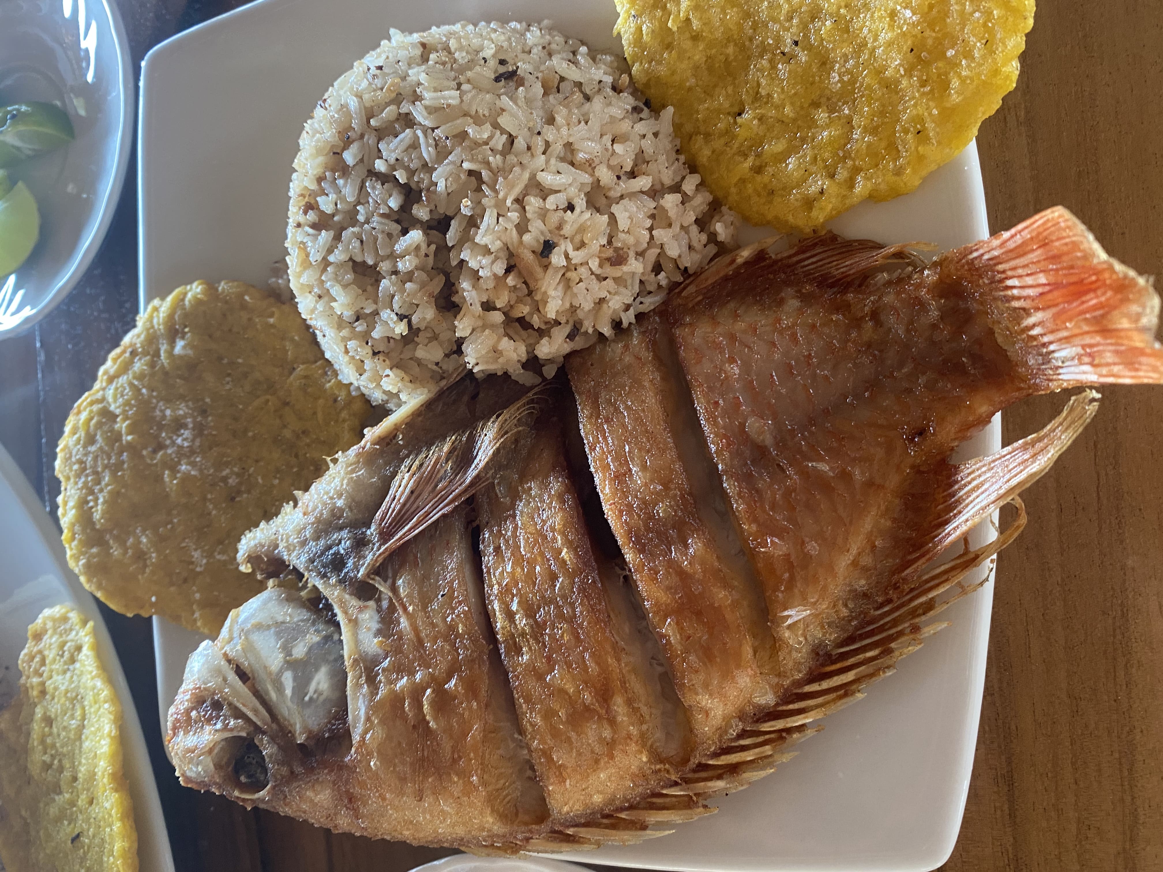 Ecohotel La Reserva 12