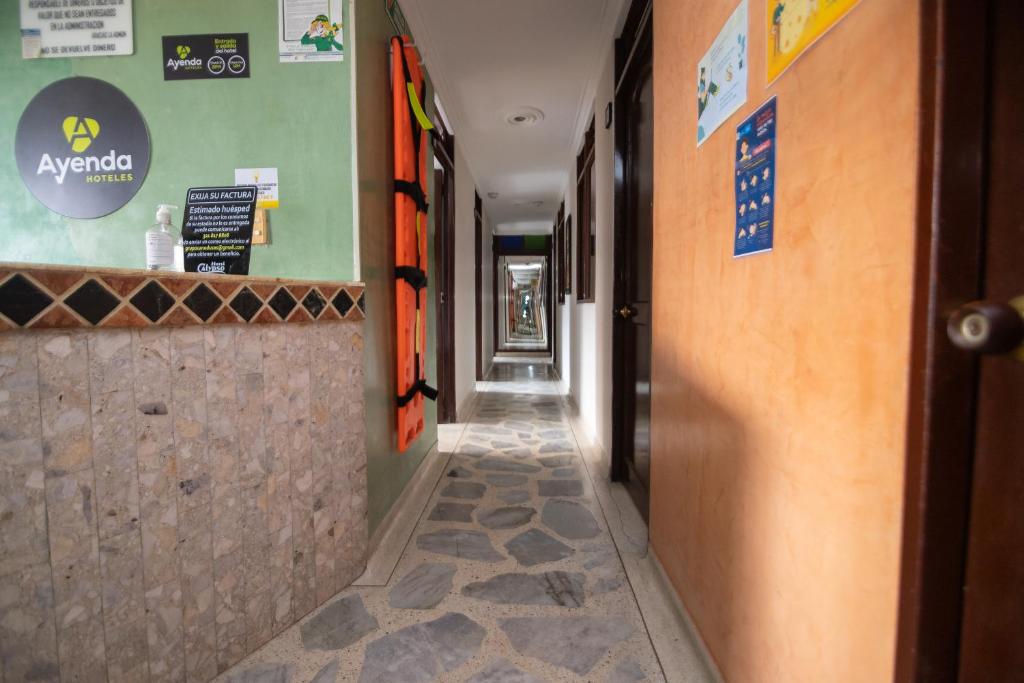 Ayenda Calypso 1142 33