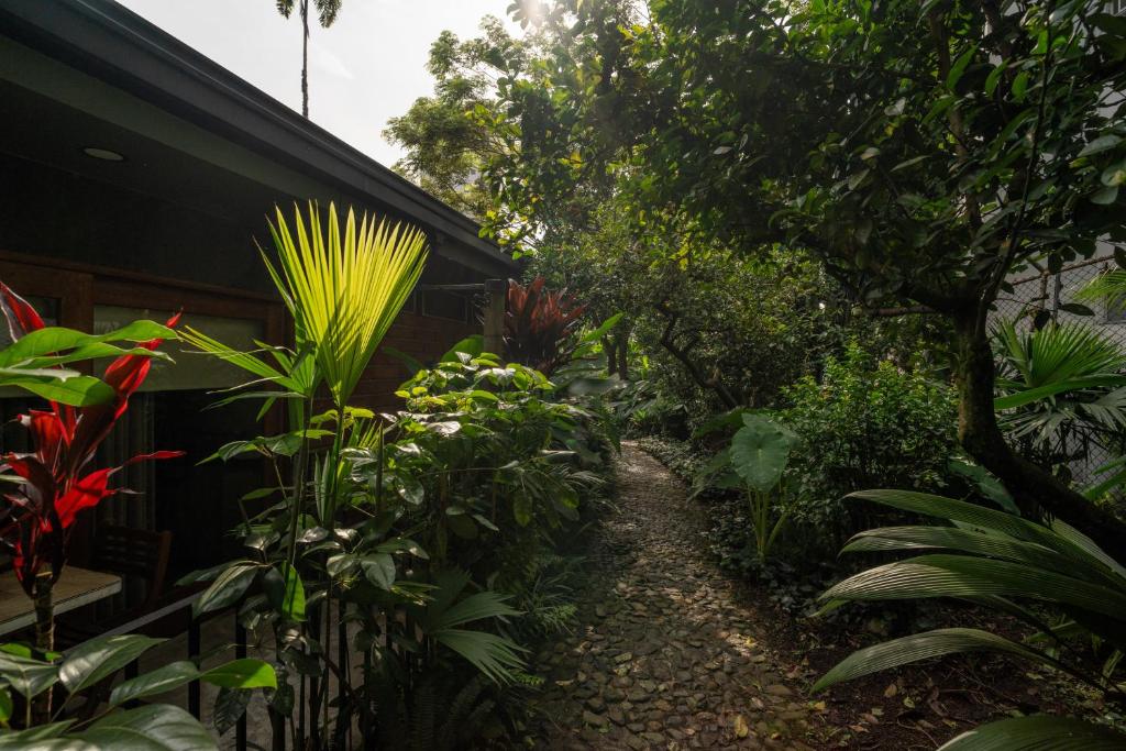 Candelaria El Poblado  13