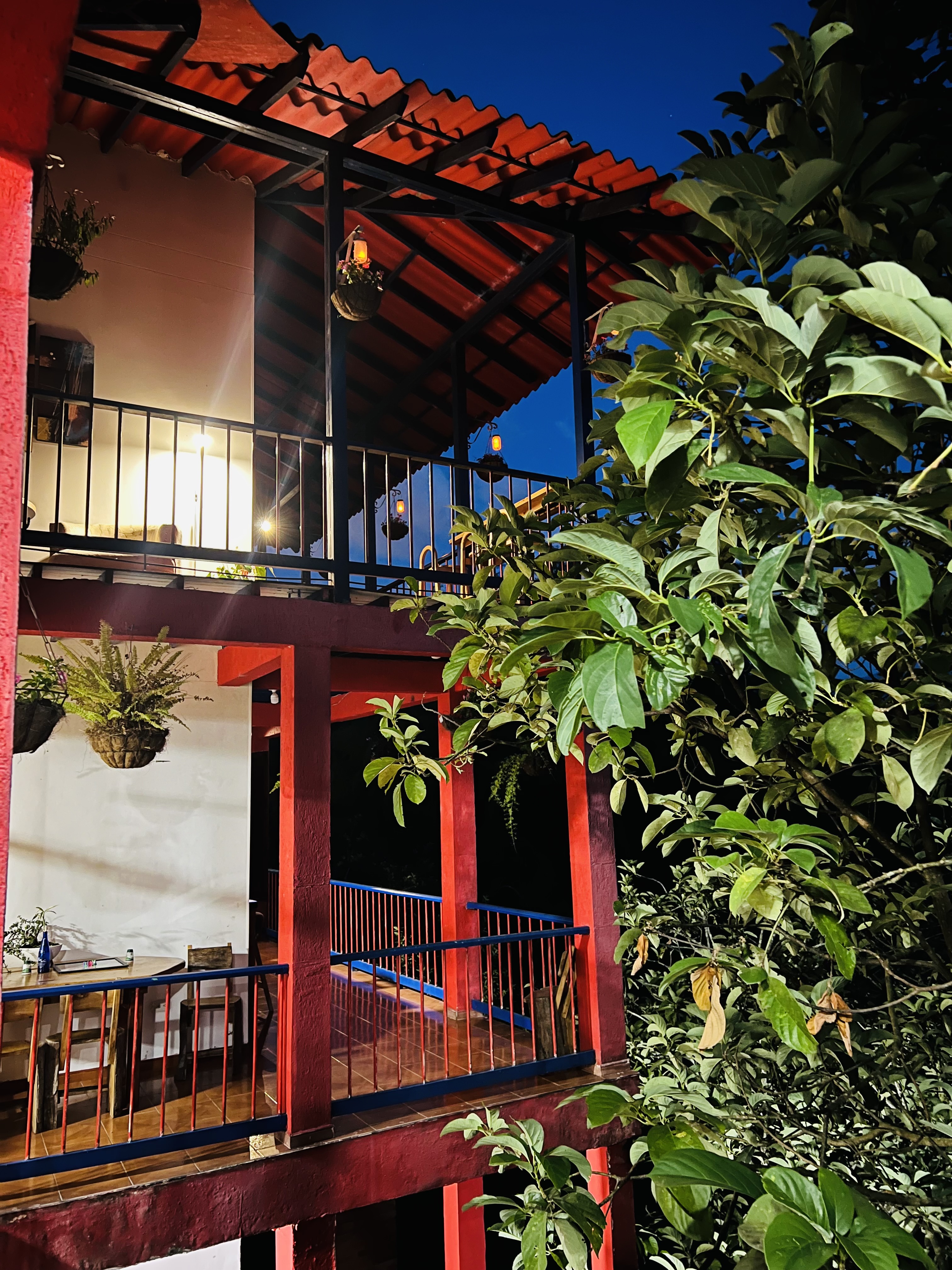 Finca Hotel Calle Jardin - Zonas comunes - 23