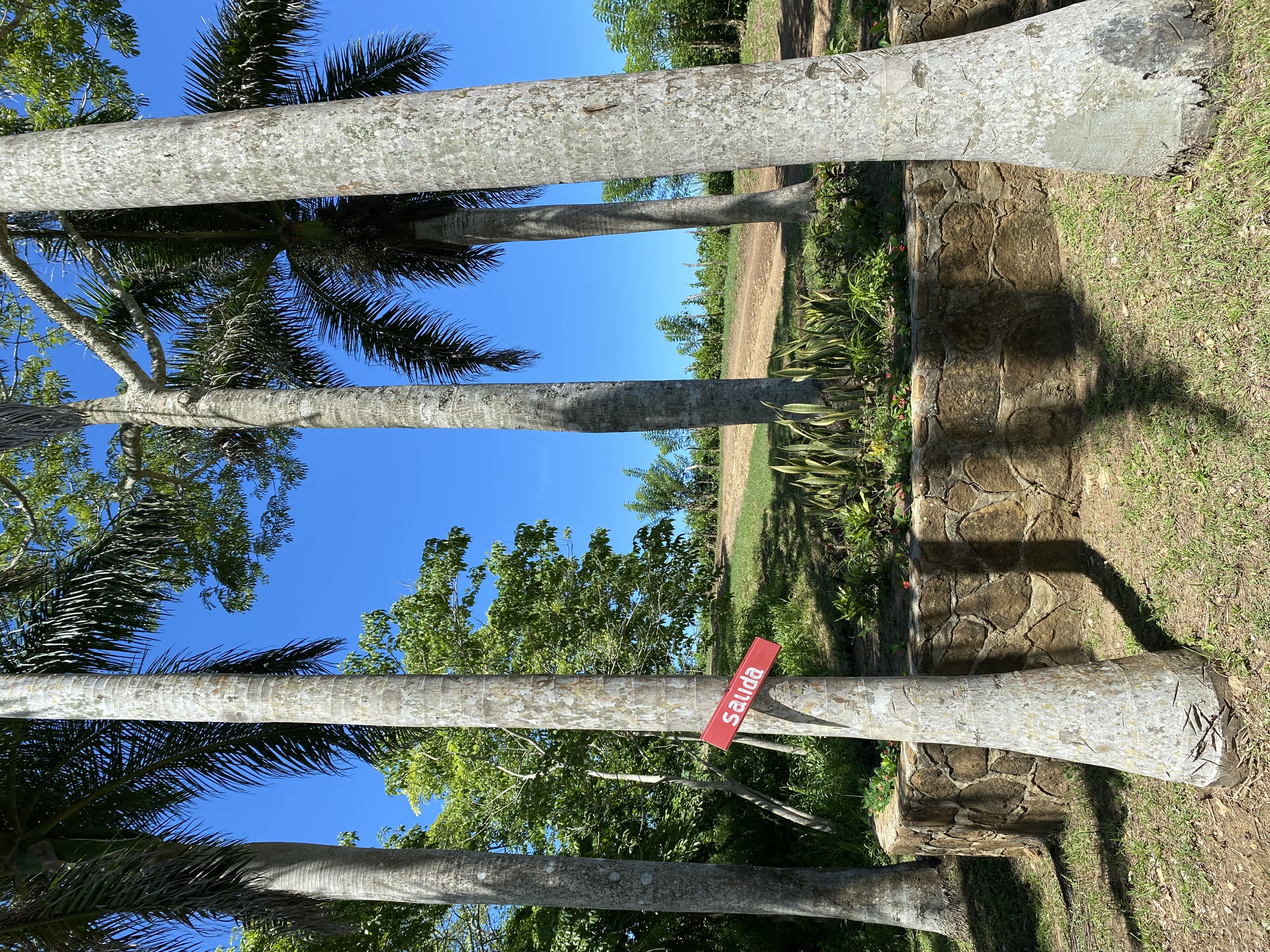 Ecohotel La Reserva 21