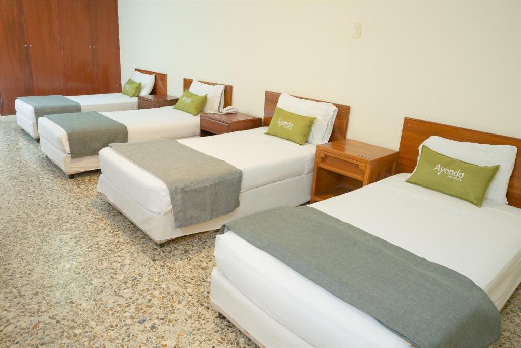 Ayenda 1313 Barahona 72 - Cuádruple - 3