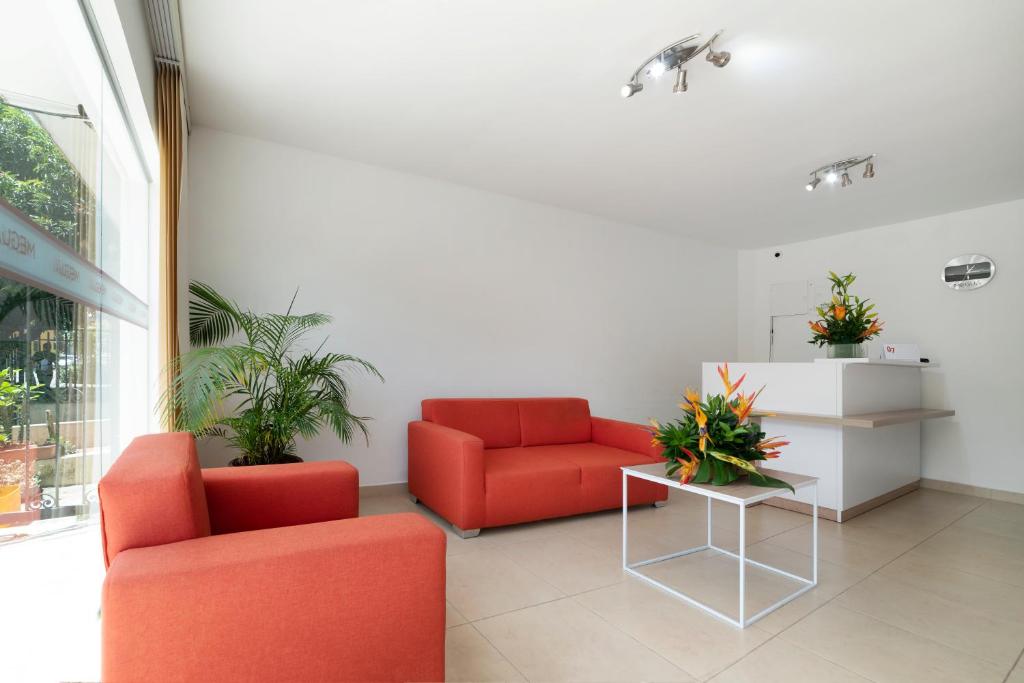 Ayenda 1240 Megua - Recepción - 12