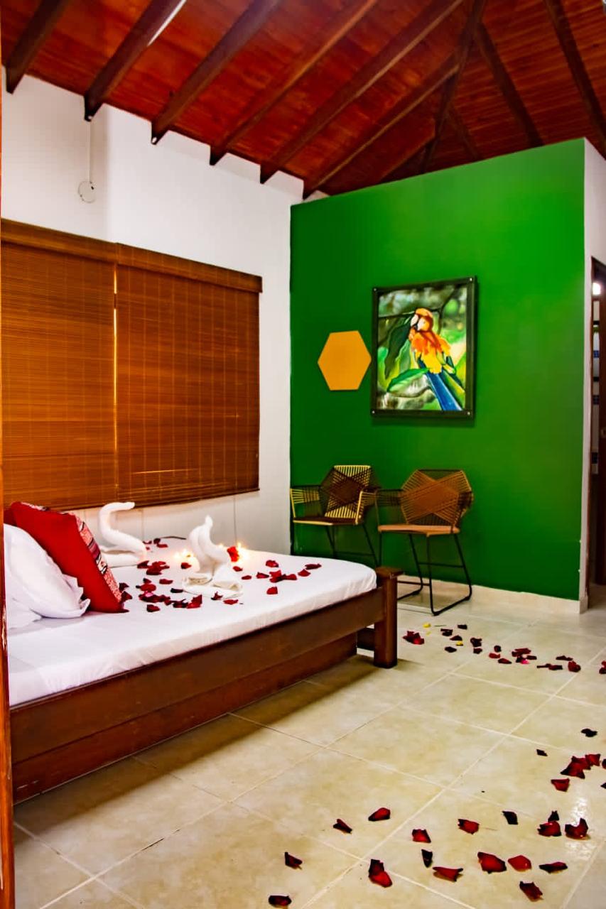 HOTEL BOUTIQUE SAN MATEO CAMPESTRE - Doble - Estándar - 8