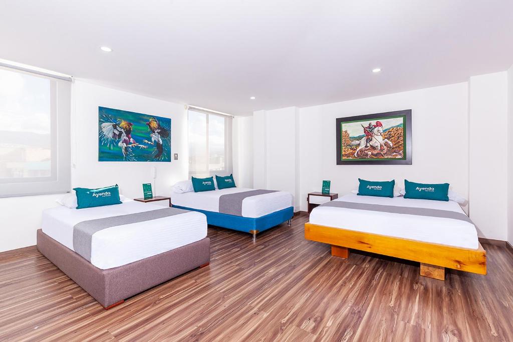 Hotel Basan Plaza - Familiar estandar - 5