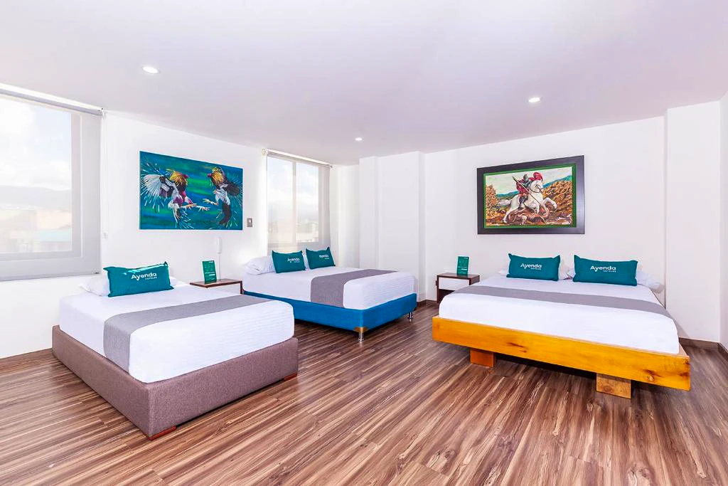 Hotel Basan Plaza - Familiar estandar - 5