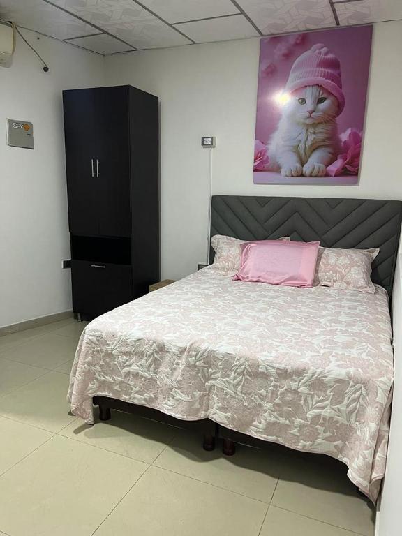 Cool House 24Horas 6