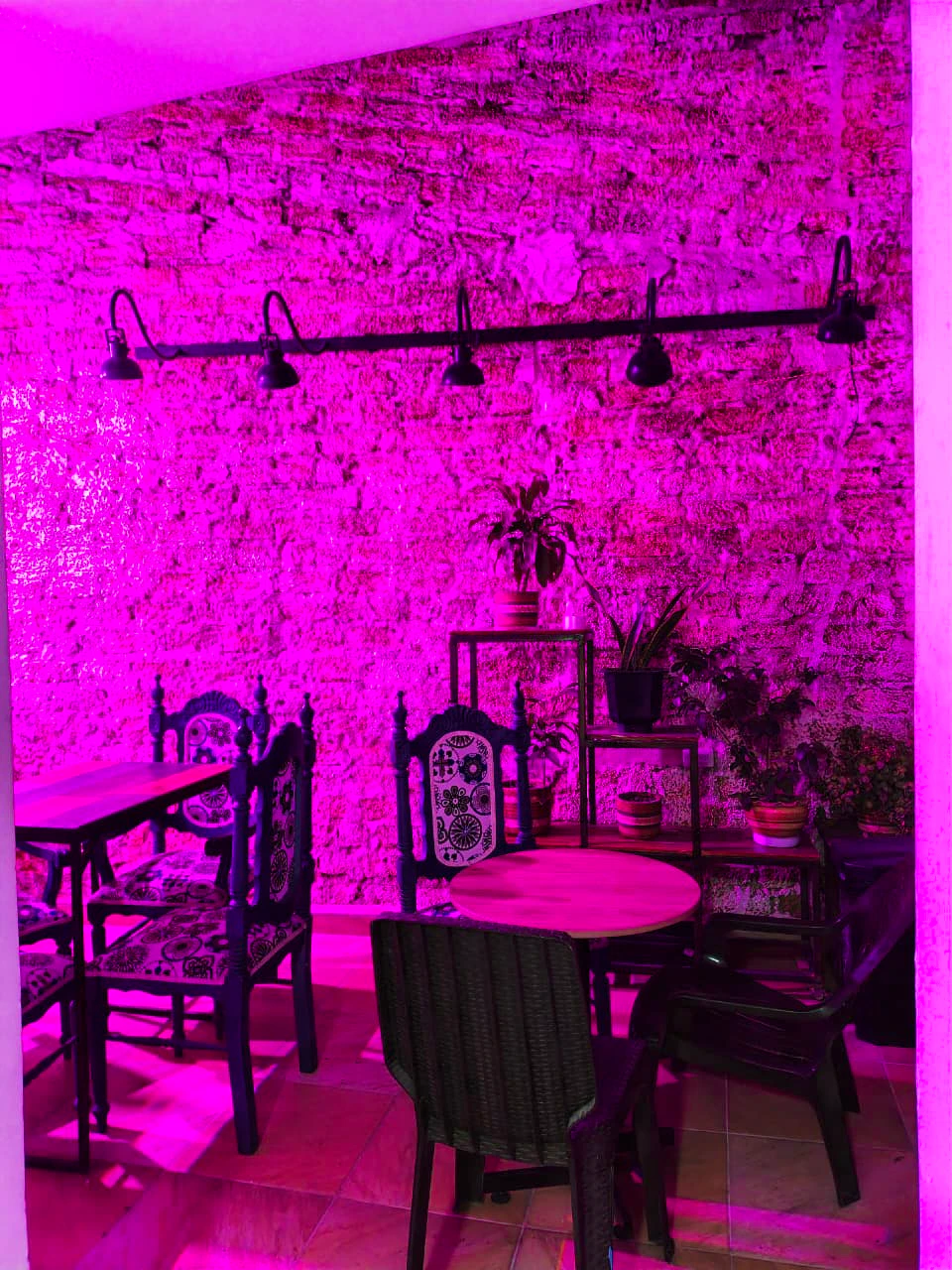 Hostal Nomadas  18